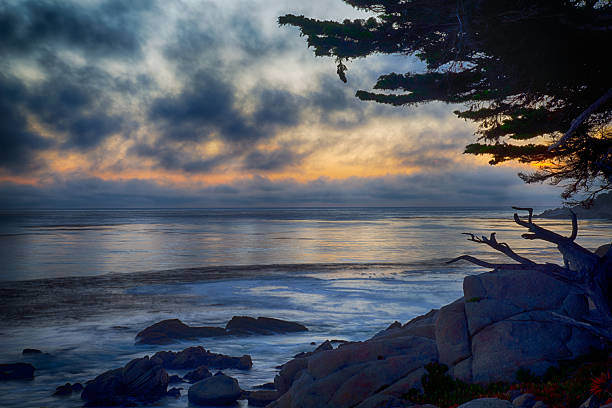 istock 17 Mile Drive at twilight 2224388614