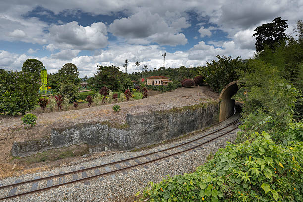 Train tracks curve and lead into a dark tunnel, framed by an earthy embankment and green foliage under a dramatic, cloudy sky