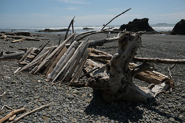 istock Olympic National Park, Washington State 2224390187