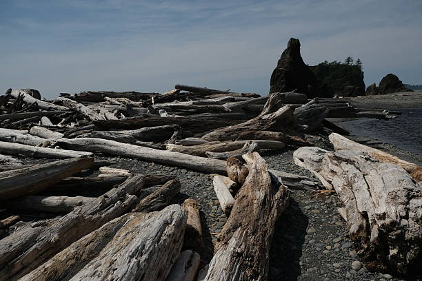 istock Olympic National Park, Washington State 2224390408
