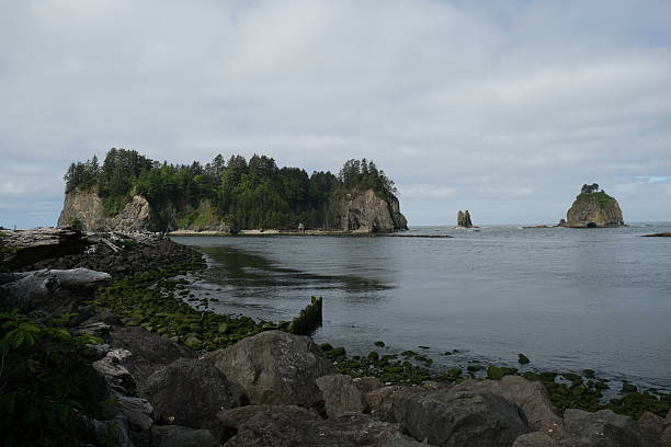 istock Olympic National Park, Washington State 2224390986