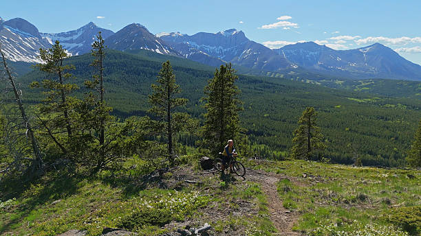 istock Aerial view of mountain biker on alpine meadow 2224392376