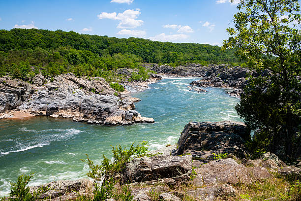 elevated view of Potomac river at Great Falls National Park