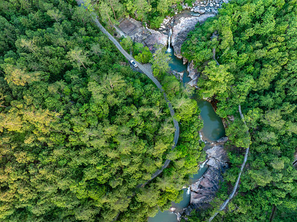 istock Stream in the valley. Green forest 2224398658