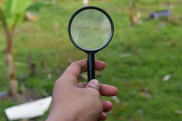 istock Hand of young man holding magnifying glass 2224398792