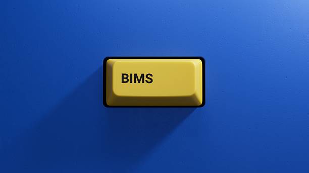 istock bims word concept. yellow button.close up button of keyboard,Business Concept.3D rendering on blue background. 2224400236