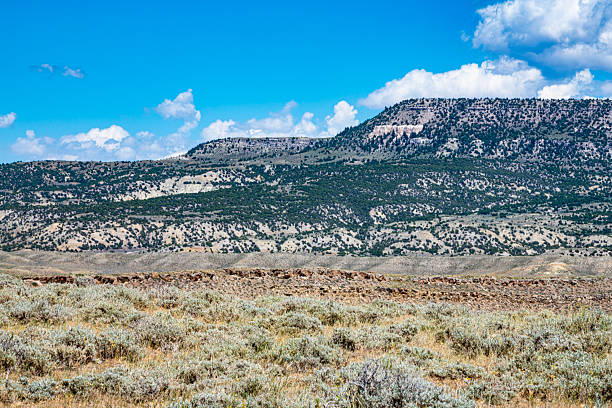 Scenic view of mountain mesa and meadow