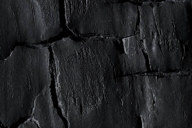 istock A lone knot rises from carbon-rich bark, framed by dramatic radial cracks. 2224406399