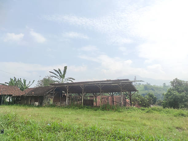 istock A field overgrown with weeds with an abandoned hut 2224406679