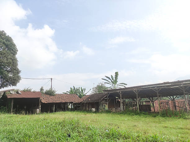 istock A field overgrown with weeds with an abandoned hut 2224406681