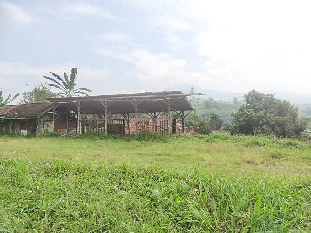 istock A field overgrown with weeds with an abandoned hut 2224407076