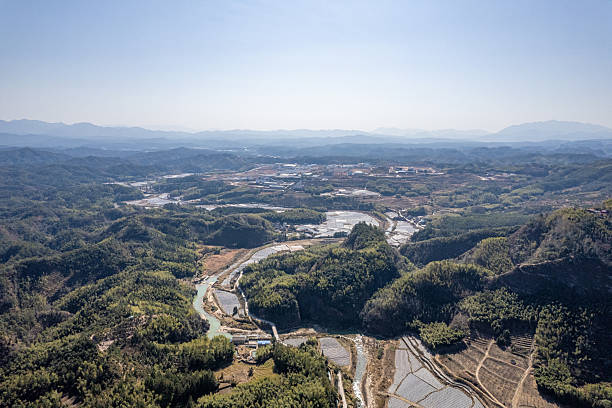 This aerial photo captures a vast expanse of lush forests and rolling mountain ranges under bright sunlight. The dense tree cover creates a rich green carpet across the landscape, while the interplay of light and shadow highlights the natural contours and textures of the terrain. The clear sky enhances the vibrant colors and adds depth to the scene. This image is ideal for use in categories such as nature landscapes, aerial photography, outdoor scenery, environmental conservation, and travel destinations.