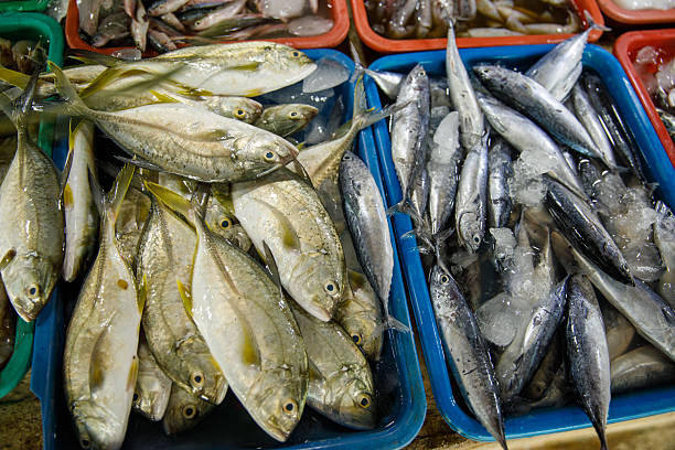 istock Assorted fresh fish on trays at seafood market display 2224408488
