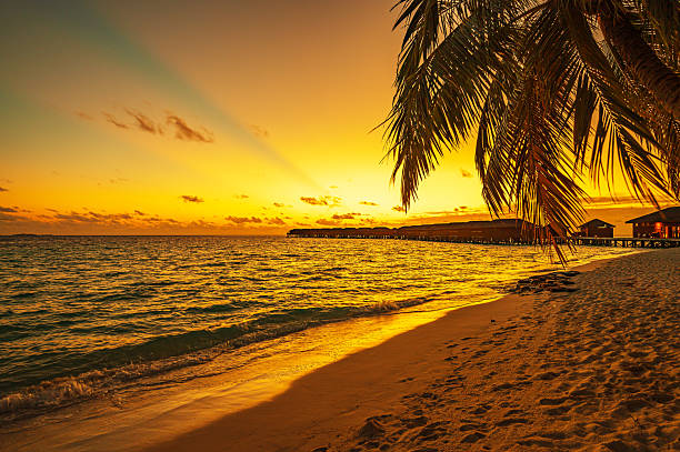 istock Tropical paradise beach with dramatic sky and colorful clouds during the sunset 2224408657