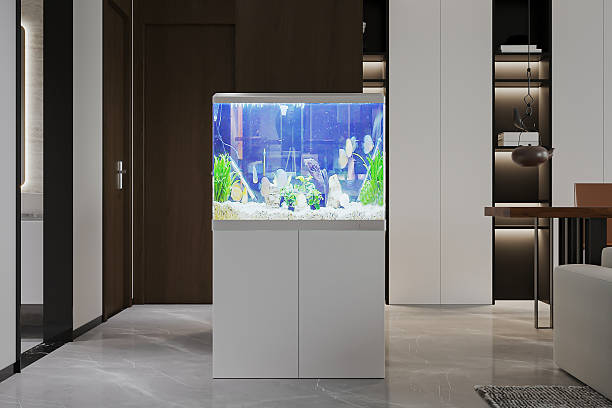 istock Vibrant Aquarium as a Focal Point in a Modern, Open-Plan Living Space 2224417993