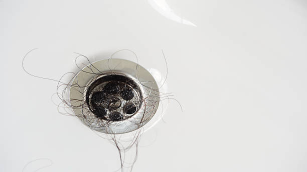 istock Water drain hole is clogged with hair clump 2224418870