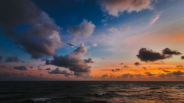 A bird hovering tranquil sunrise over the ocean, with soft waves and glowing clouds painting the sky in shades of orange and blue. Ideal nature background for travel, wellness, and relaxation themes