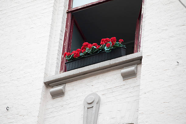 Detail of a house in Lille, France