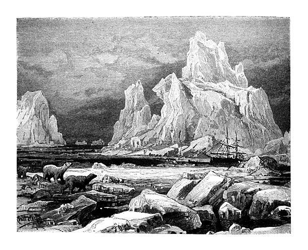 Land and sea ice in the Davis Strait