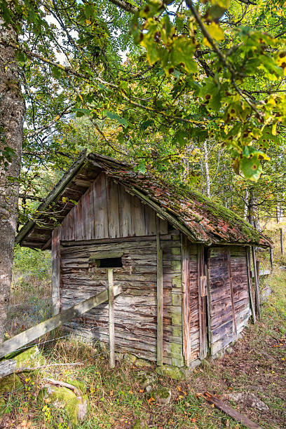 istock Idyllic old shed in pasture 2224427499