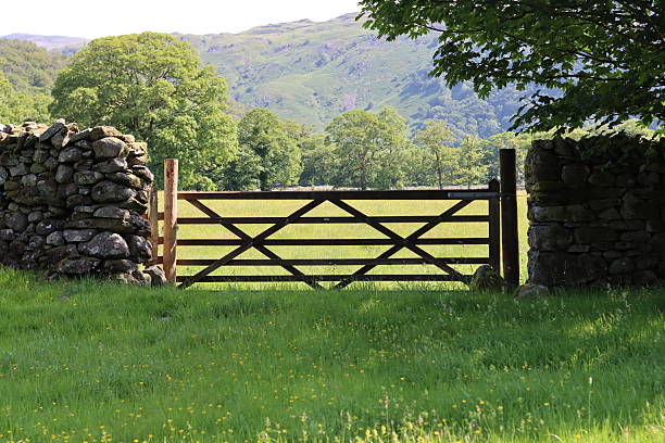 istock Closed wooden gate leading into a countryside meadow 2224429225