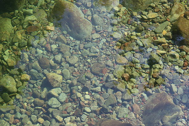 Clear river water flowing over a bed of stones