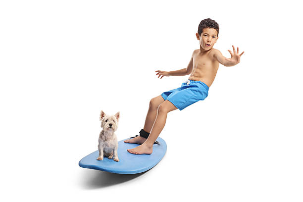 istock Child with a dog pet riding a blue surfboard 2224430135