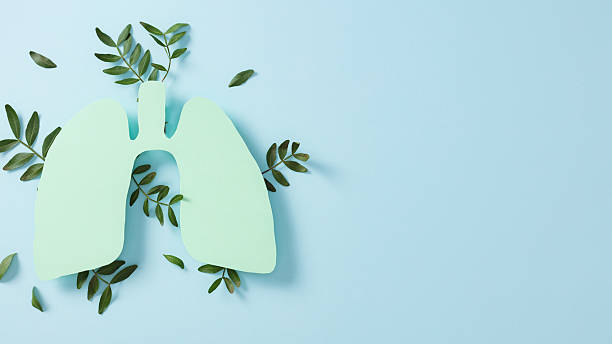 Creative eco-themed layout featuring paper lungs surrounded by green leaves on blue background. Symbolizes respiratory health, clean air, and nature role in well-being