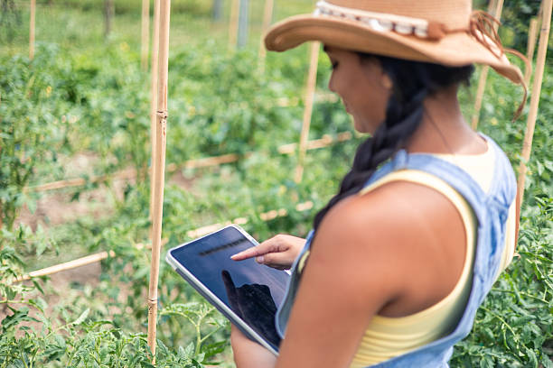 istock Young Female Farmer Using Digital Tablet in Field 2224438784