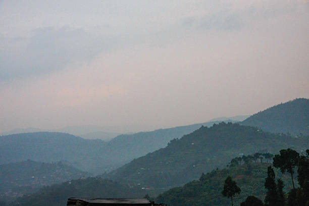 istock Serene View of Undulating Forested Hills in Rwanda 2224442334