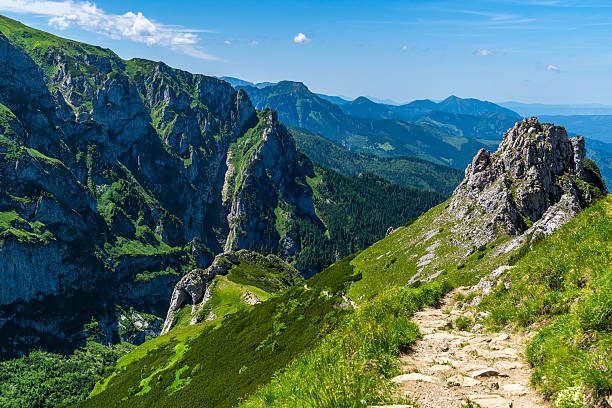 Rocky trail winding through green mountain slopes with steep cliffs and deep valleys in Zakopane, Poland, under a bright blue sky.
