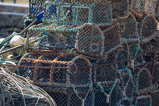 Detailed image showing a large pile of black fishing traps tightly stacked, with colorful turquoise and gray ropes tangled across the traps. Traditional gear used in lobster and crab fishing.