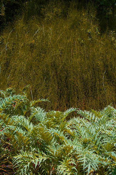 istock Background of beautiful nature 2224443253