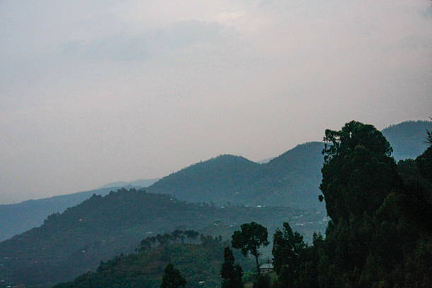 A breathtaking and serene landscape from Rwanda, featuring numerous layers of hazy, green, forested hills and distant mountains that extend into the horizon. The muted, overcast sky blends seamlessly with the distant peaks, enhancing the atmospheric depth of the scene. A cluster of dark trees in the foreground provides a natural anchor, while subtle signs of distant human settlements hint at life amidst the vast natural beauty. Ideal for themes of nature, travel, environment, peace, and grand scenic views of Africa.