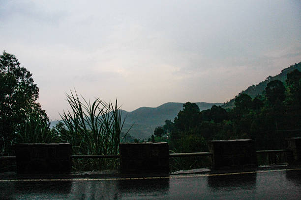 An atmospheric and tranquil landscape captured from a roadside viewpoint in Rwanda. The wet, reflective surface of the road in the foreground mirrors the soft light of an overcast sky, leading the eye towards successive layers of hazy, green, forested hills and distant mountains. Foreground barriers and lush grasses frame this expansive scene, conveying the quiet beauty and fresh ambiance of Rwanda's natural environment during humid or rainy conditions. Ideal for themes of travel, nature, weather, contemplation, and scenic routes.