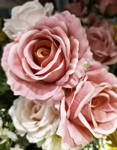 istock Colorful flowers in nature 2224445074