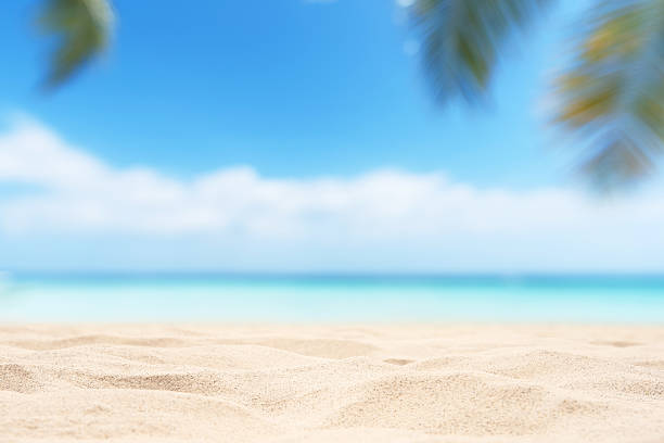 istock Empty tropical sand beach with palm leaves and sunny blue sky abstract background 2224445260