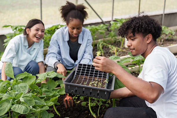 istock Multiracial boy holding seedling tray during agriculture class while classmates work around showing engagement in hands-on farming lesson in school greenhouse setting 2224446978