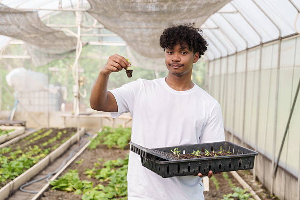 istock Multiracial teenage boy smiling slightly while presenting seedling and tray inside greenhouse during school agriculture lesson focusing on organic gardening and sustainable food practices 2224446992