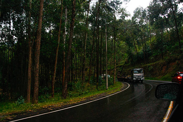 An atmospheric roadside view capturing a wet, reflective asphalt road winding through a dense forest of tall eucalyptus trees in Rwanda. The scene, likely after recent rain, features subtle reflections on the dark road surface and raindrops on a vehicle's side mirror in the foreground, evoking a sense of active travel. A distant truck adds to the feeling of movement along this tranquil, tree-lined route under a muted, overcast sky. Ideal for themes of travel, road trips, weather conditions, and the natural beauty of Rwandan forests and landscapes.