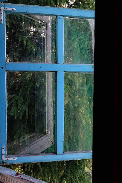 istock Opened wooden, weathered window with a view of an old spruce tree. 2224453015
