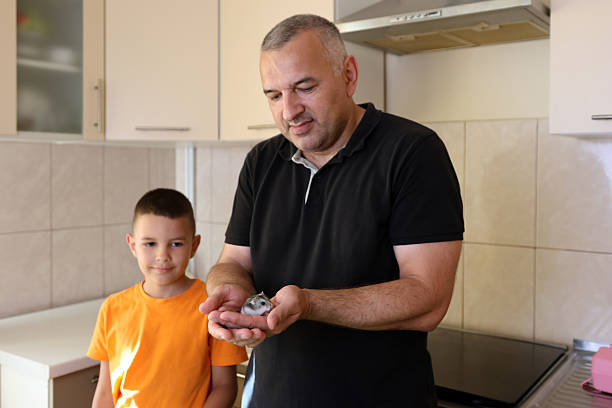 People look after and play with the hamster.