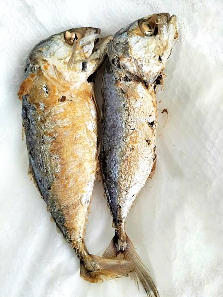 istock A two of Fried mackerel fish on a white paper 2224468410
