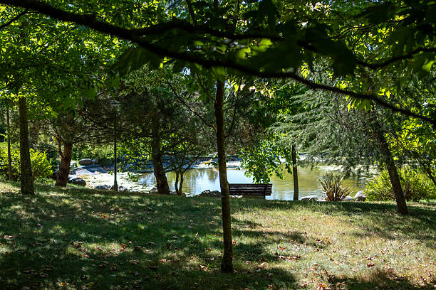 istock Alley in the park on sunny day 2224471516