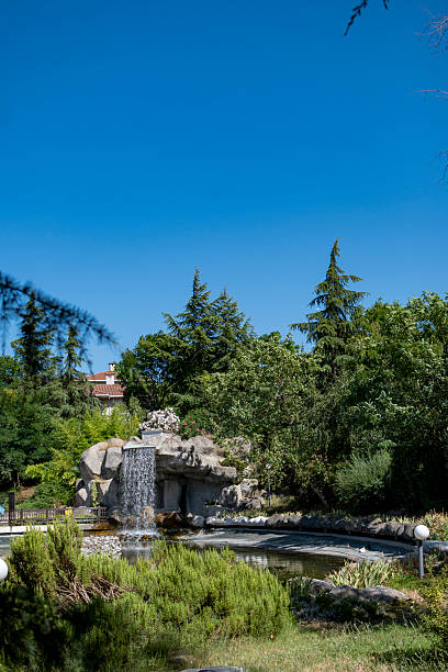 istock Alley in the park on sunny day 2224472590
