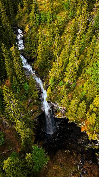 istock Aerial view of a waterfall in a lush forest. 2224473645