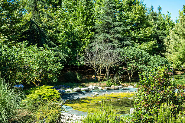 Beautifully landscaped garden with manicured trees and a lush green lawn