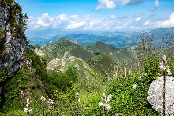 beautifull view on th picos de europa in spain with the fields and the high rocks