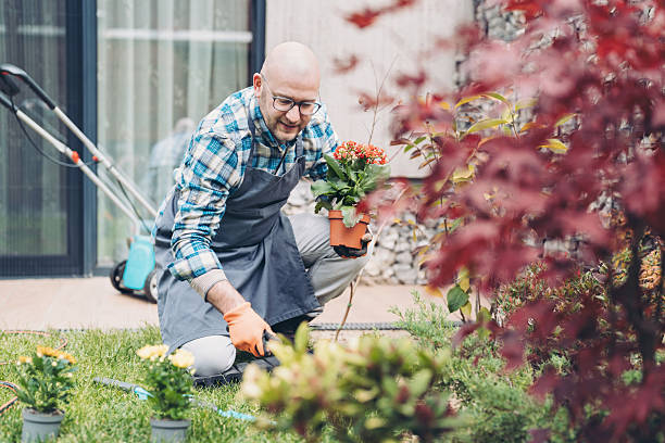 istock Middle age man working in the garden 2224484162