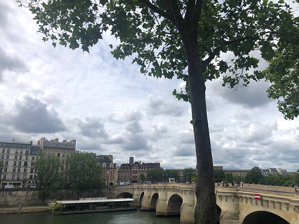 istock Pont-Neuf, Paris - France shot with its authentic architectural features with a tree in front 2224487920